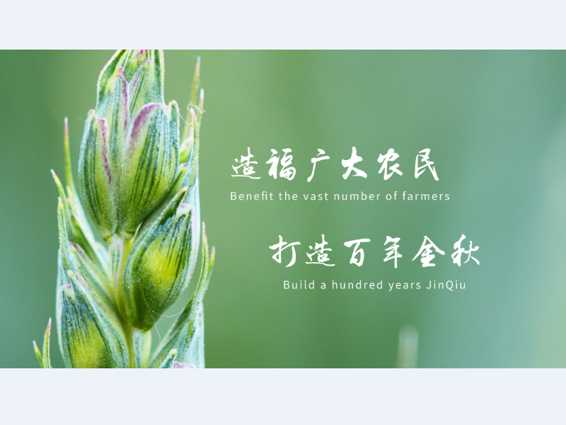 新年寄语